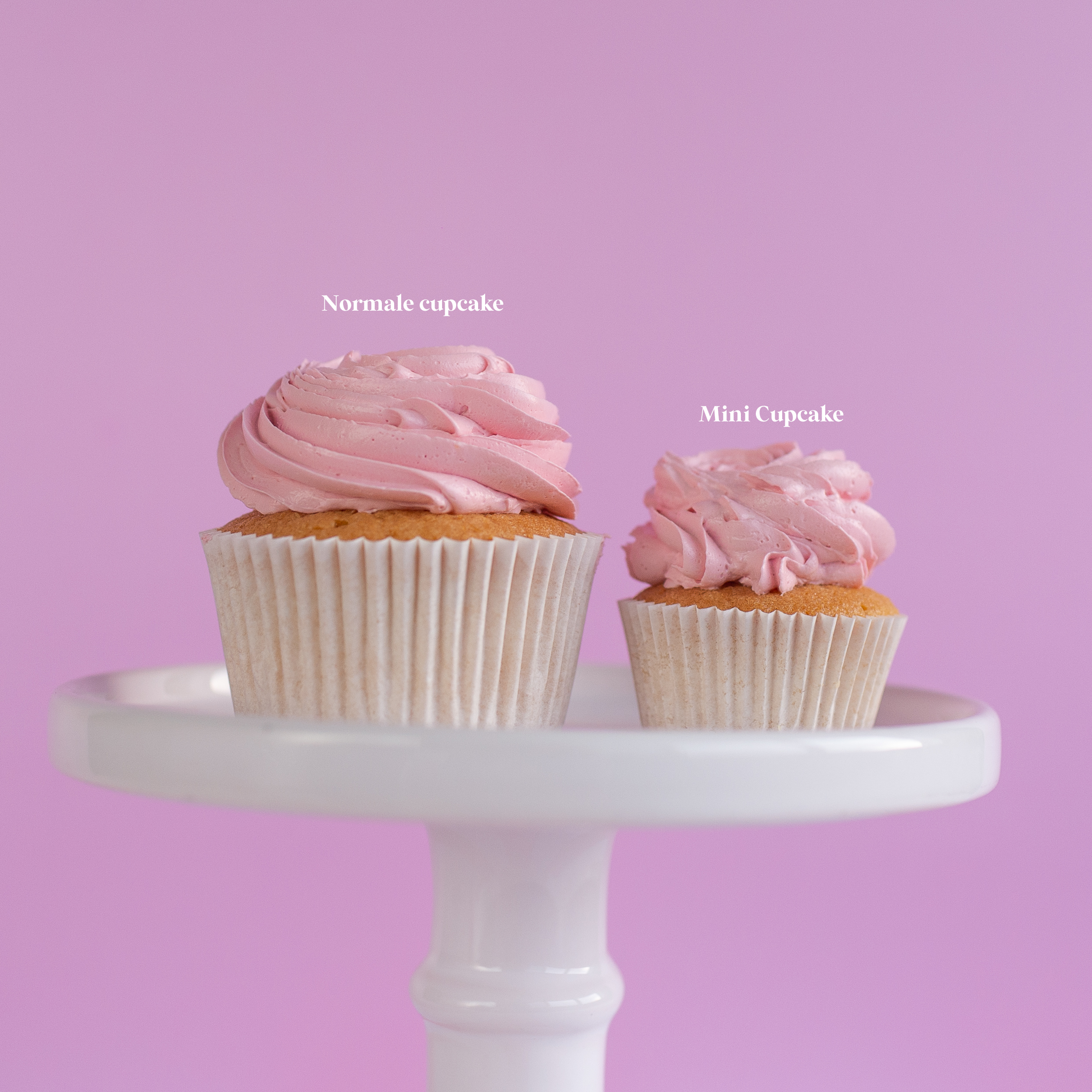 Mini Cupcakes – happy birthday – Hoorn